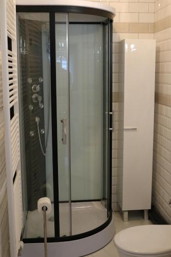 ZandbergenB&B Den Boskant的一间带卫生间的浴室内的玻璃淋浴间