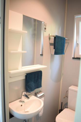 HeusdenDen Laage hof的一间带水槽、镜子和卫生间的浴室