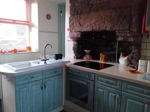 EgremontBank End的厨房配有蓝色橱柜和石墙