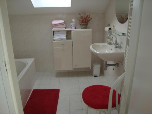 PoortugaalValckesteyn的一间带水槽和红色地毯的浴室