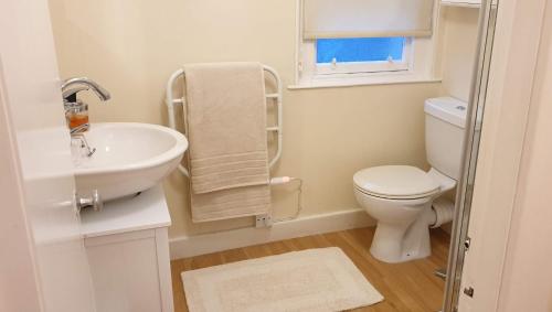 皮特洛赫里127 on Atholl的白色的浴室设有卫生间和水槽。