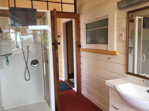 TasmanTasman Farmstay Retreat GlenMhor的带淋浴和盥洗盆的浴室