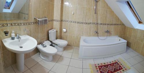 Vila Vladimir的一间浴室
