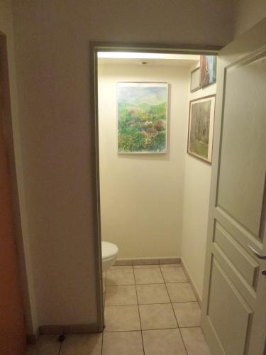 圣丹尼斯Central Montgaillard的一间带卫生间的浴室和墙上的绘画