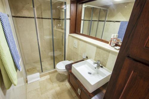 克拉伦代克Seaside Apartment Pelican的一间带水槽、淋浴和卫生间的浴室