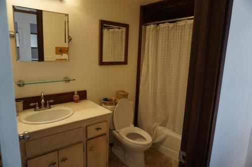杰克逊2-3 bedroom /2 bath的一间带水槽、卫生间和镜子的浴室