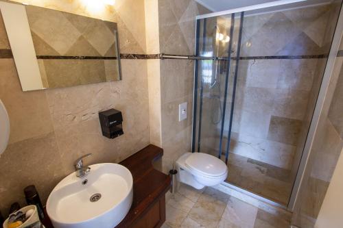 克拉伦代克Seaside Apartment Turtle的带淋浴、盥洗盆和卫生间的浴室