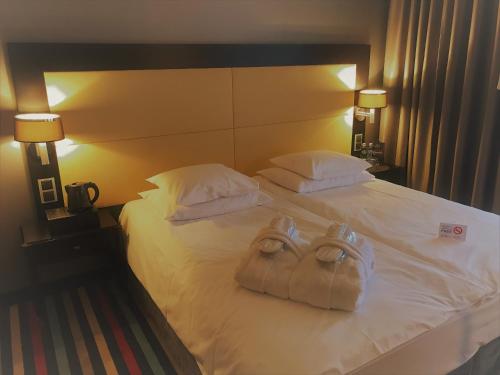 什切青希尔韦歌卡特中心酒店的酒店客房,配有一张带两个袋子的床