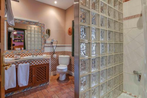 阿尔玛格鲁阿特德斯坎索乡村民宿的一间带卫生间和玻璃墙的浴室