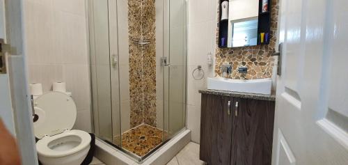 马盖特Falling Waters Guest House的带淋浴和卫生间的浴室以及电视。