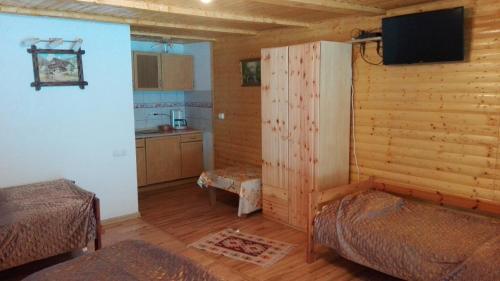 Rau SaduluiComplex turistic Nora Rau Sadului的客房设有两张床和一台平面电视。