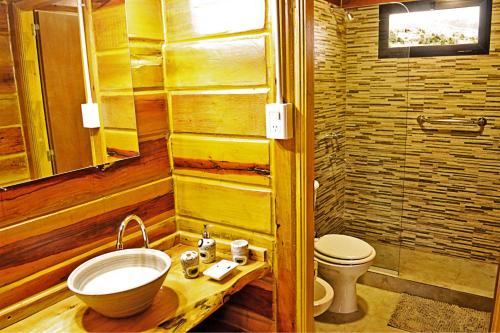 坎伯雷塔Complejo Apus的一间带水槽和卫生间的浴室