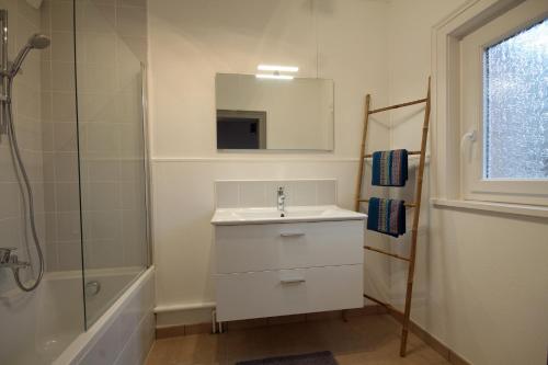 埃特勒塔Au bonheur d'Etretat的一间带水槽、淋浴和镜子的浴室