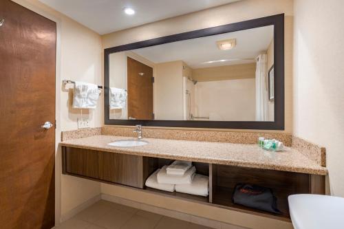 钦利谢伊峡谷钦利假日酒店的一间带水槽和大镜子的浴室