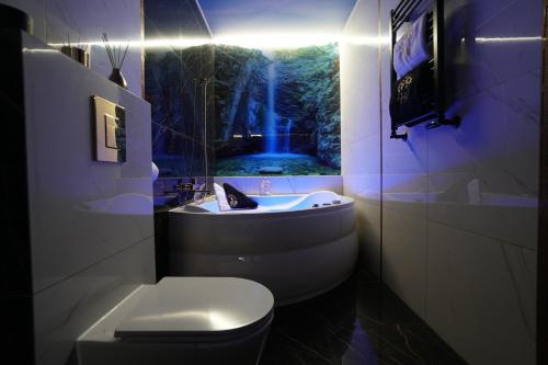 克拉科夫Apartament Lema Versace的一间带卫生间和瀑布窗户的浴室