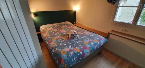 坎佩尔Appartement Studio Chanoine的一只小狗坐在房间里的床边