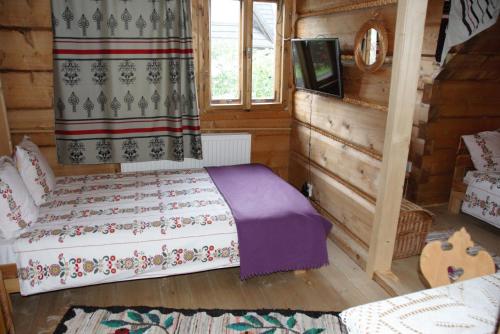 考斯赛力克Pokoje Gościnne Kościelisko AZ Somatic的一间卧室配有一张床和一台平面电视