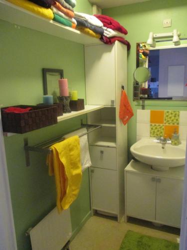 里昂COSY ROOM CROIX ROUSSE的一间带水槽和卫生间的小浴室