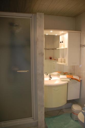 维维尔切Gästehaus Sylvie的一间带水槽和淋浴的浴室