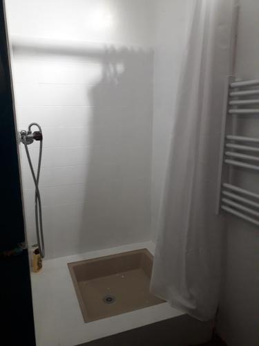 维拉尔-德朗Appartement centre village的带淋浴和浴帘的浴室