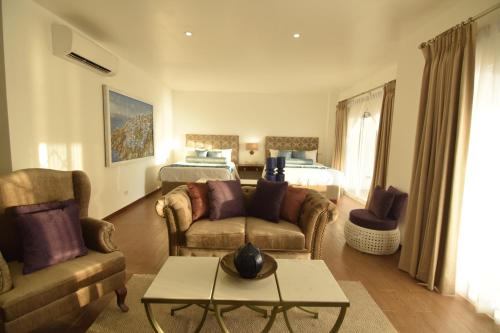 圣费尔南多雷鸟度假村- 波罗角的客厅配有沙发和1张床