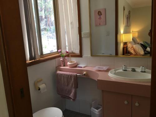 SomersbyFarm guests house的一间带水槽和卫生间的浴室以及窗户。