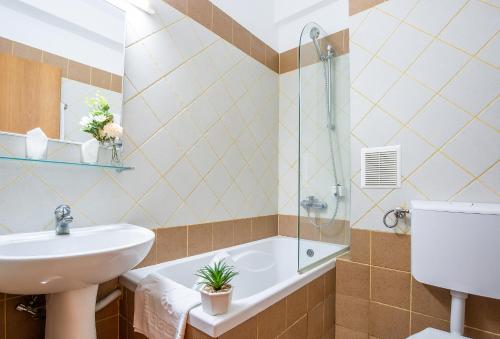 萨图马雷Hotel Dana的浴室配有水槽、淋浴和浴缸。