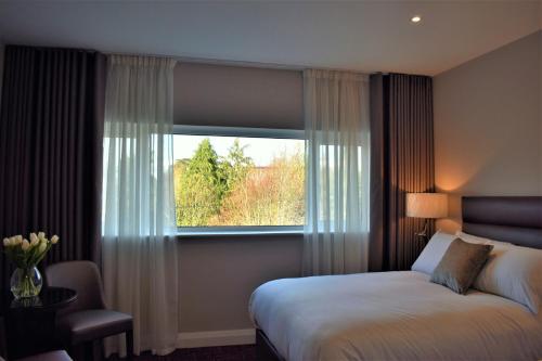 基拉尼The Birches Killarney的酒店客房设有床和窗户。