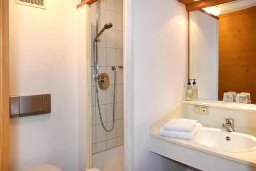 普夫龙滕Alps Hostel的一间带水槽和淋浴的浴室
