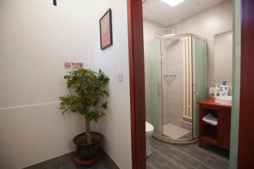 北京北京婧园雅筑宾馆的带淋浴、卫生间和植物的浴室