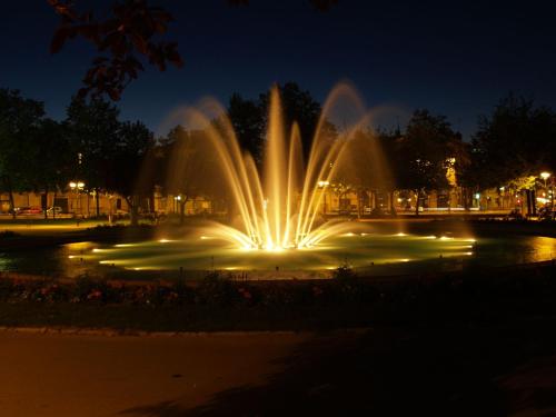 第戎Maponi的夜间公园里灯光喷泉
