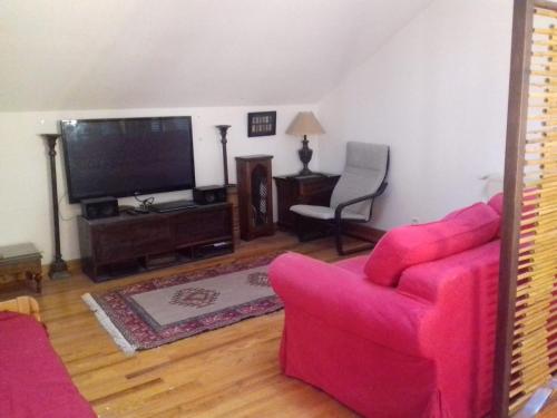 圣皮耶尔德沙尔特勒斯Appartement en loft 50m2 dans maison avec chambre en mezzanine et canapes lits dans salon的客厅配有粉红色的沙发和平面电视。