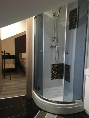 波普拉德Apartmán Tatry-Poprad的浴室里设有玻璃门淋浴