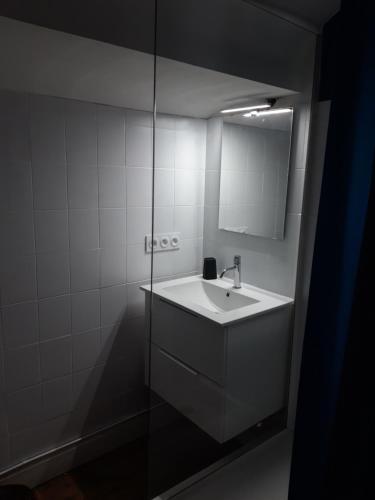 圣吉勒达德吕伊Appartement indépendant的一间带水槽和镜子的浴室