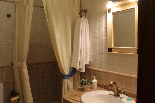 卡皮雷拉Apartamento Rurales Rosendo: La Zajareña的一间带水槽和淋浴帘的浴室