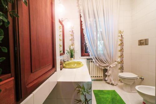 维罗纳Vitti's Home Verona的一间带水槽和卫生间的浴室