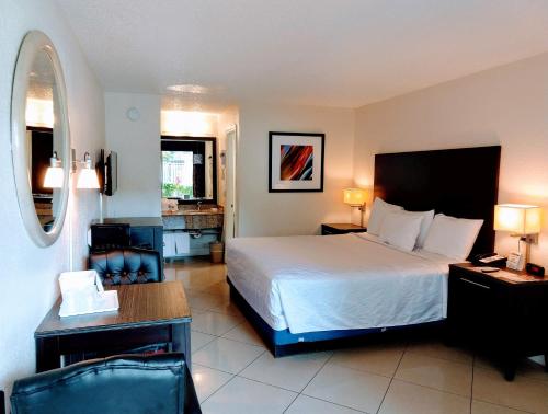 劳德代尔堡罗德岱堡机场红地毯酒店 的酒店客房设有一张大床和一张书桌。