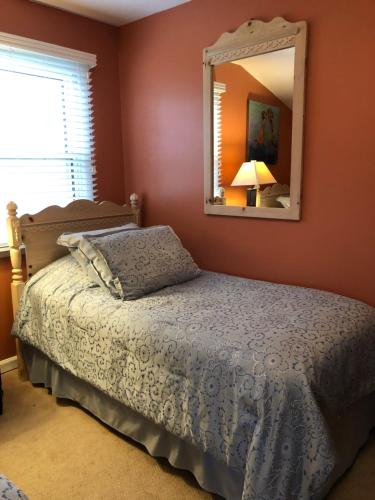Mount Pleasant斯洛普山卡雷基旅馆的一间卧室配有一张床和镜子