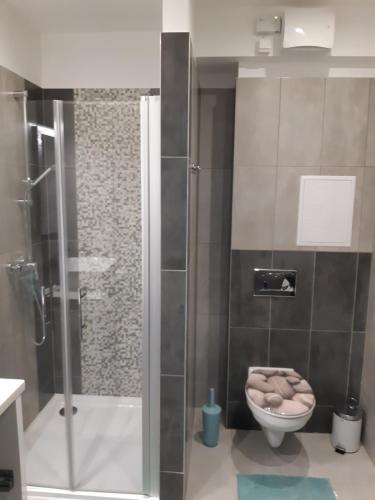 萨尔瓦尔Dilara Apartman Sárvár的带淋浴和卫生间的浴室。