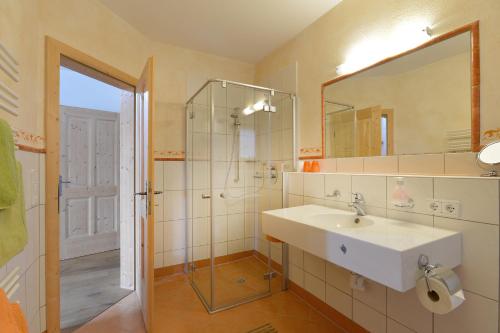 格英Landhaus Jägerhof的一间带水槽、淋浴和镜子的浴室