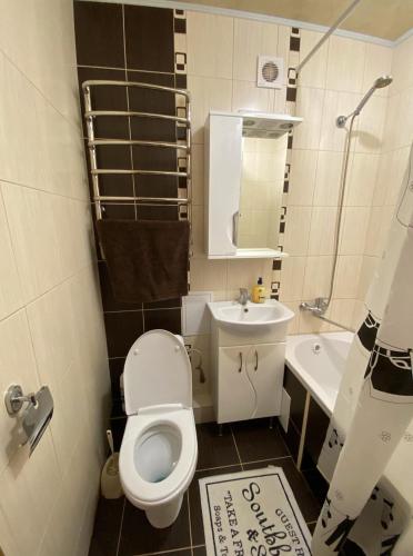 日托米尔Михайлівська квартира的一间带卫生间和水槽的小浴室