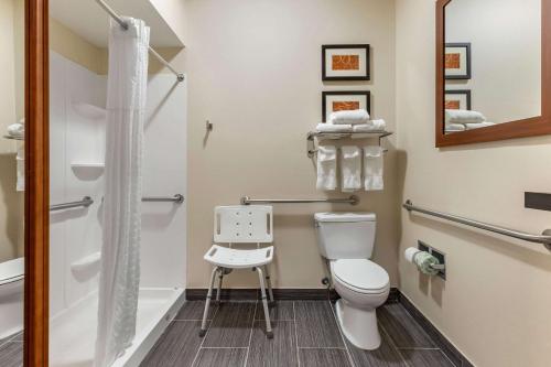Comfort Suites Southgate-Detroit的一间浴室
