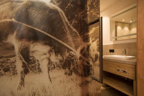舍恩伯格斯塔拜酒店的浴室墙上挂着一幅马的照片