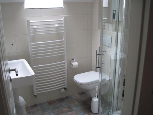 奥登塔尔Ferienwohnung Koch的浴室配有卫生间、淋浴和盥洗盆。
