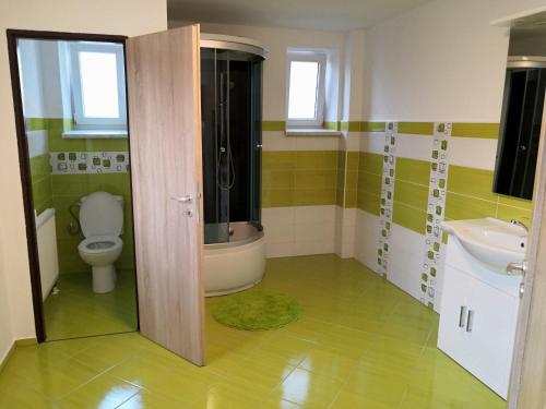 HoražďoviceU Moto Makovic的一间带卫生间和水槽的浴室