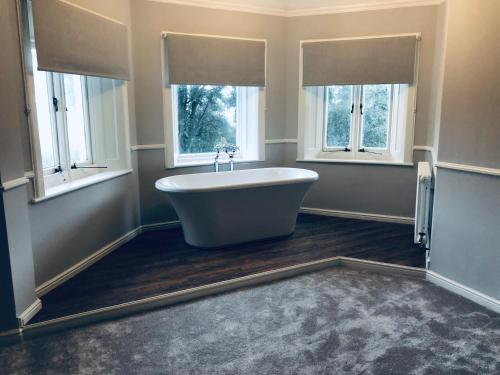 戈斯波特The Alverbank Hotel的带浴缸的浴室和2扇窗户