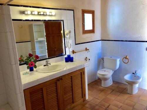 波连斯萨Finca Can Trui的一间带水槽和卫生间的浴室