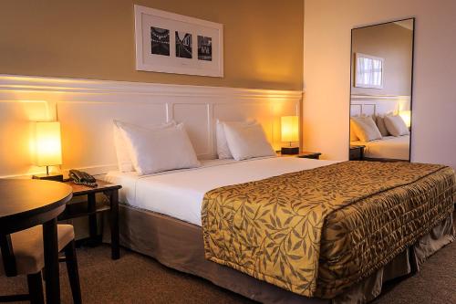 波苏阿莱格里马克斯广场酒店的配有一张大床和镜子的酒店客房
