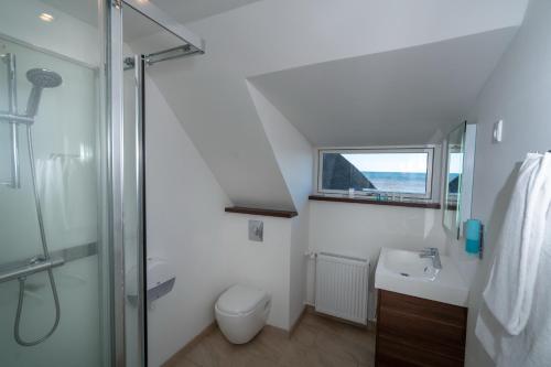 克利特默勒Klitmøller Hotel的带淋浴、卫生间和盥洗盆的浴室