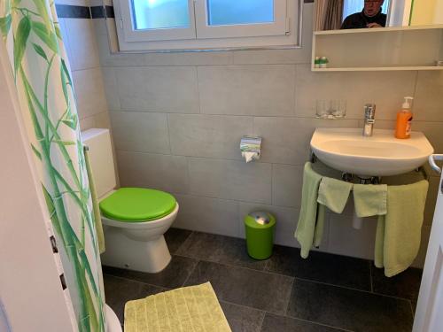 Bannwil埃尔公寓的浴室配有绿色卫生间和水槽。